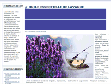 Tablet Screenshot of huile-essentielle.bienfaits.fr